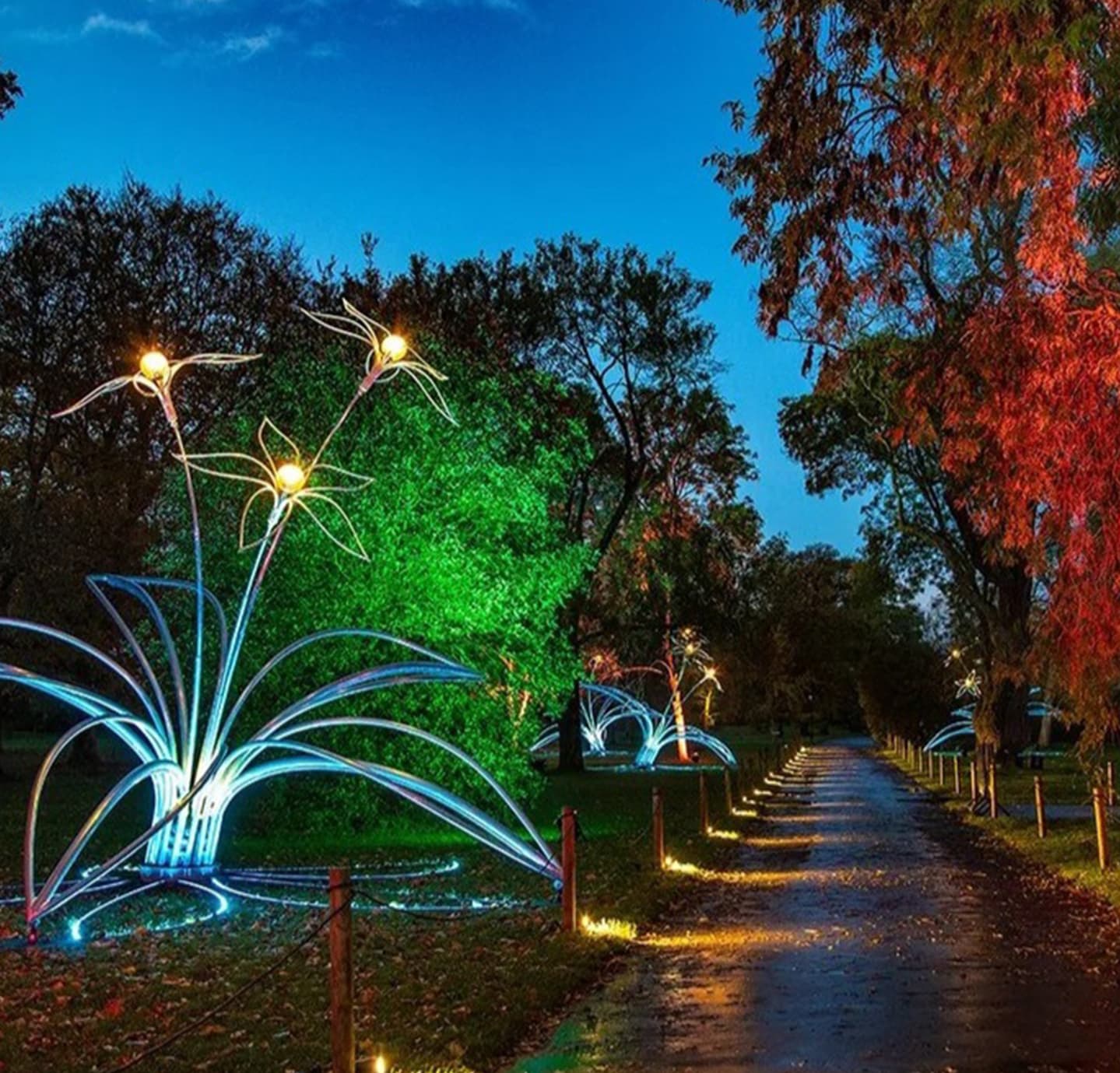 Luminescent Oasis